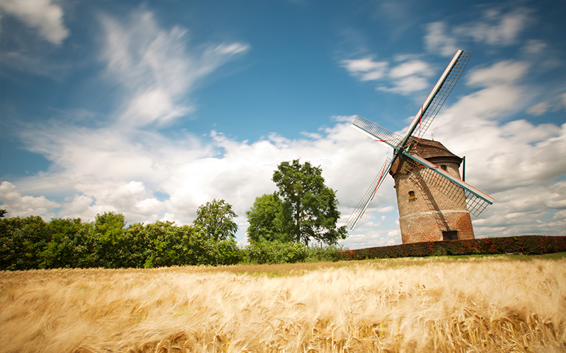 Moulin_et_champ_C_Laurent_Guesquiere_Nord_Tourisme