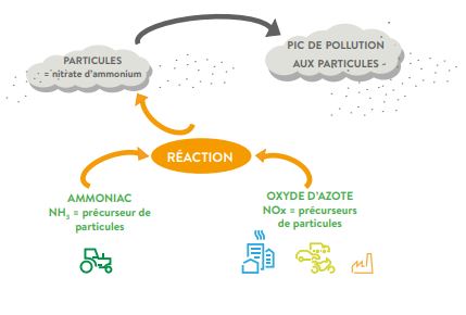 Agriculture -Episode de pollution