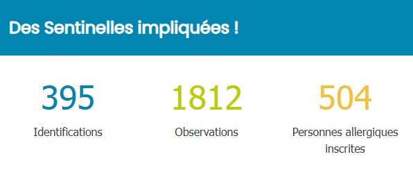 pollens_sentinelles_saison_2025_hdf