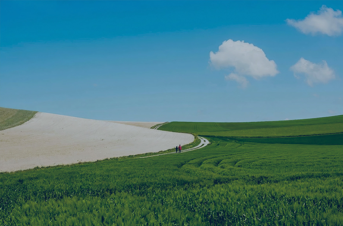Aqah -campagne territoire -campagne champs