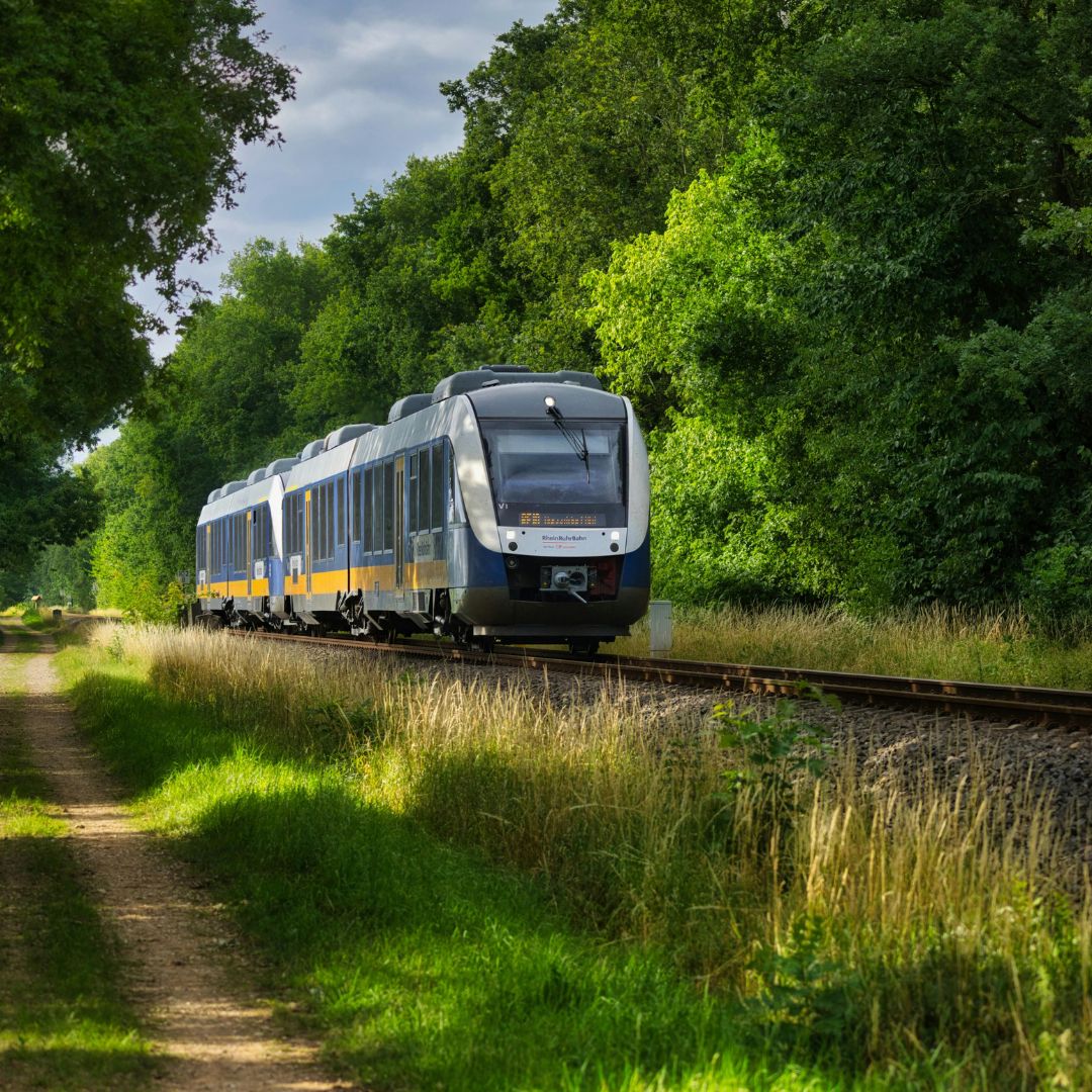Ter région
