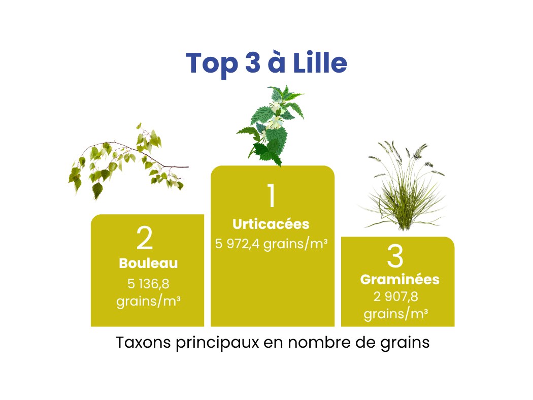Top 3 à Lille des taxons principaux en nombre de grains