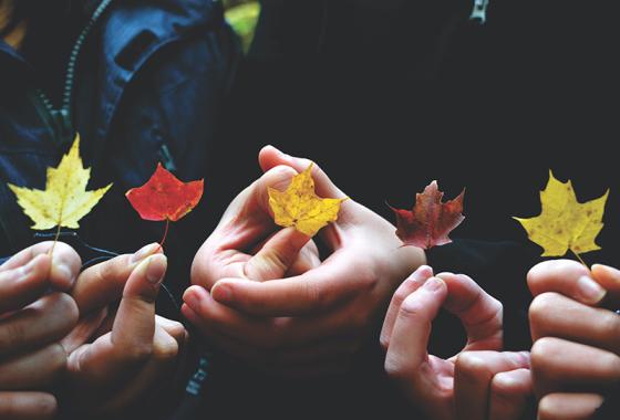 bannière bilan qualité de l'air - automne