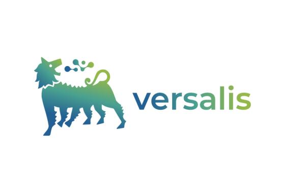 versalis_logo_banner
