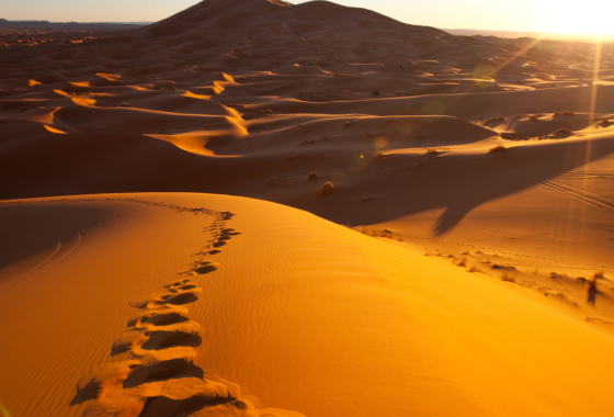 Sahara desert