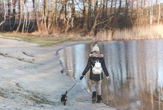woman_winter_walk_pixabay