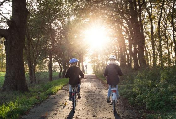 Bannière Rapport annuel 2024