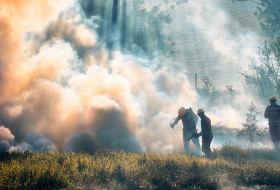feu-foret-pompiers-ronaldplett-pixabay