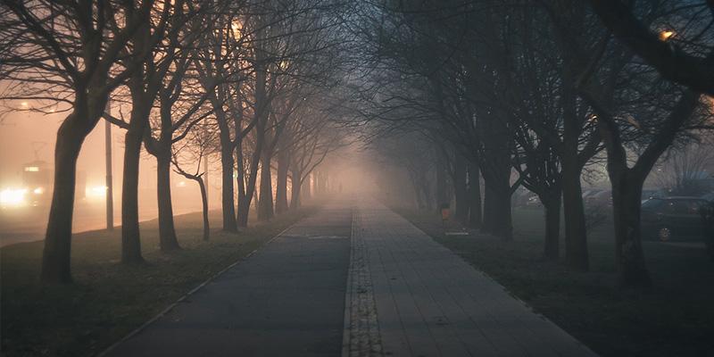 brouillard_automne_RealAKP_Pixabay