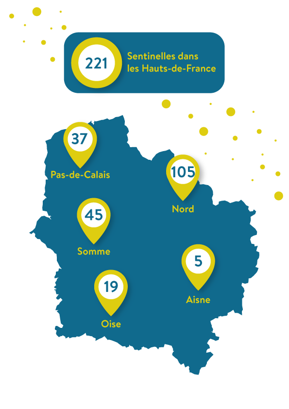 carte_hdf_sentinelles_juin2020