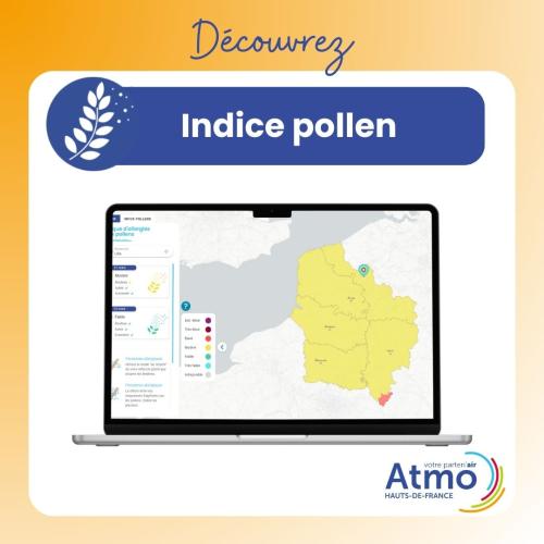 Carrousel_indice_pollen_1