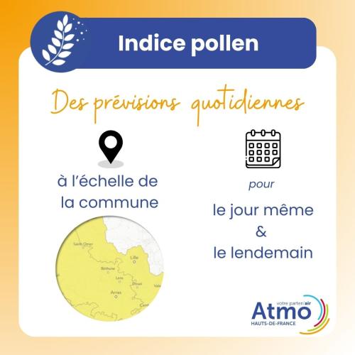 Carrousel_indice_pollen_2