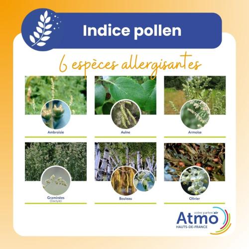 Carrousel_indice_pollen_3