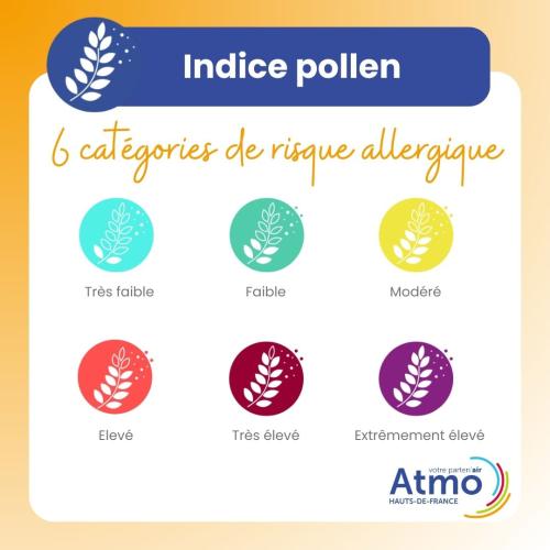 Carrousel_indice_pollen_4