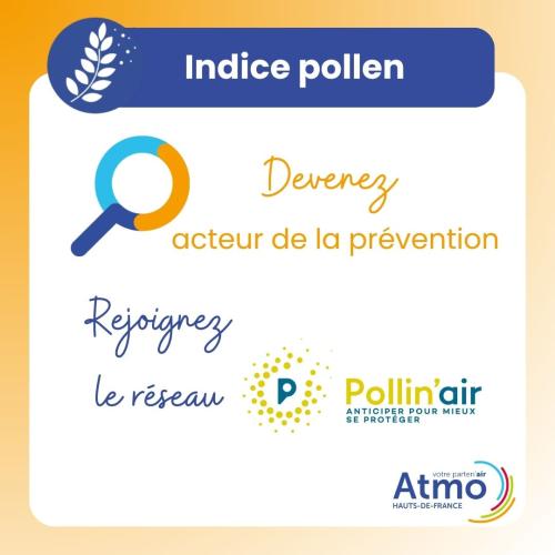 Carrousel_indice_pollen_6