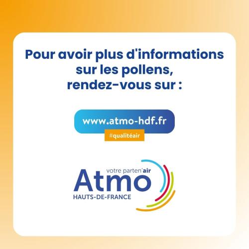 Carrousel_indice_pollen_7