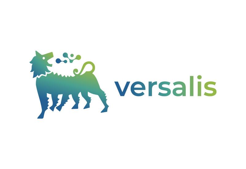 versalis_logo_banner