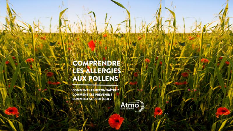 Brochure_Pollens_AtmoHDF_mini