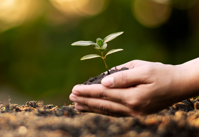 Santé environnementale 