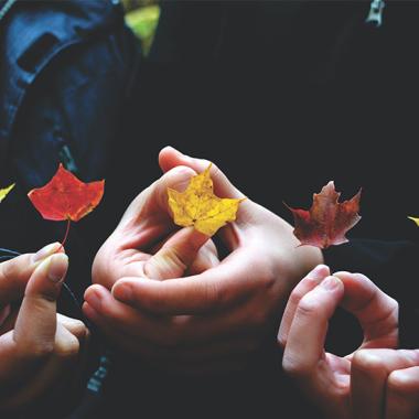 bannière bilan qualité de l'air - automne