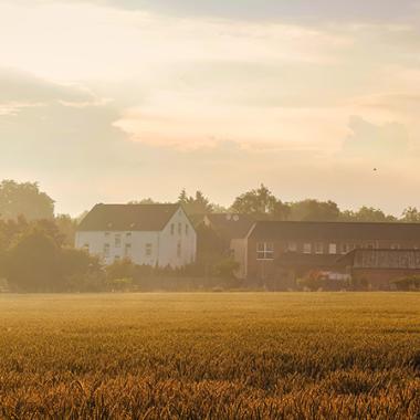 campagne_champ_pesticide_pixabay