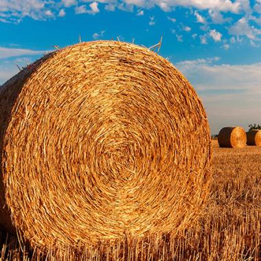 champs-balot-ete-pixabay